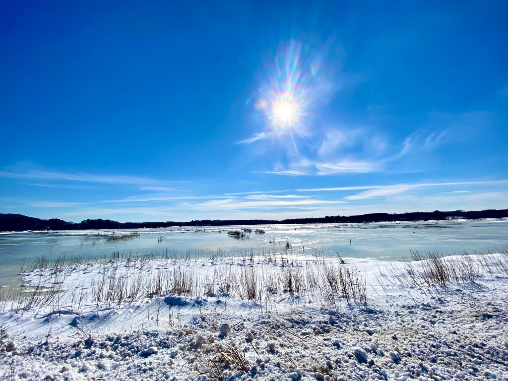 Overview of salt marsh in winter